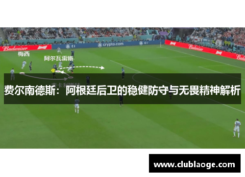 费尔南德斯：阿根廷后卫的稳健防守与无畏精神解析