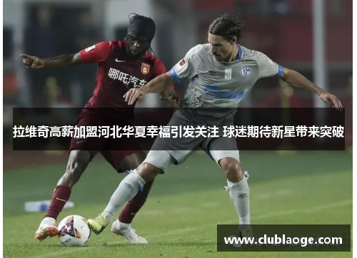 拉维奇高薪加盟河北华夏幸福引发关注 球迷期待新星带来突破